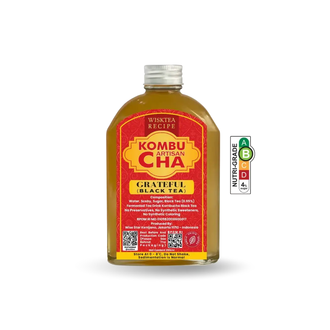 Blackcurrant Kombucha – Antioxidant Rich Probiotic Drink | WiskTea Recipe