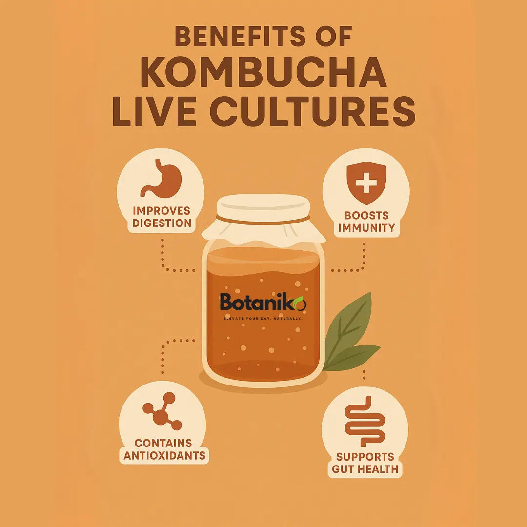 Gayo Coffee Kombucha – Energising Probiotic Drink | WiskTea Recipe