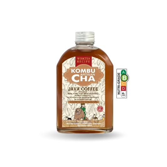 Java Coffee Kombucha – Energising Probiotic Drink | WiskTea Recipe